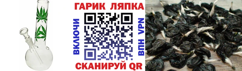 Купить закладки  Старая Русса  ГАШ VHQ 